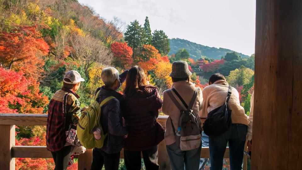 Tour group viewing an autumn garden