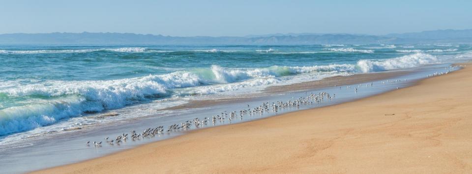 Seascape backround