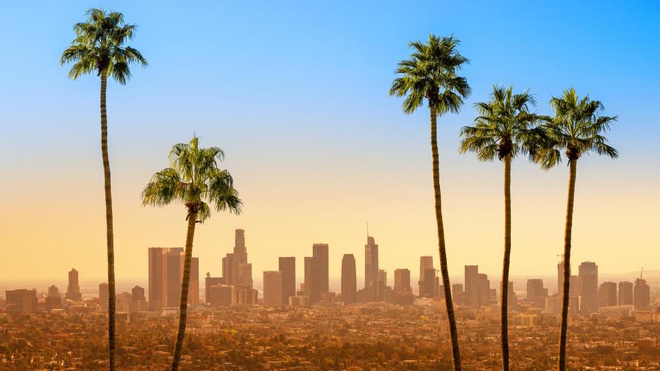 the skyline of los angeles with palm trees