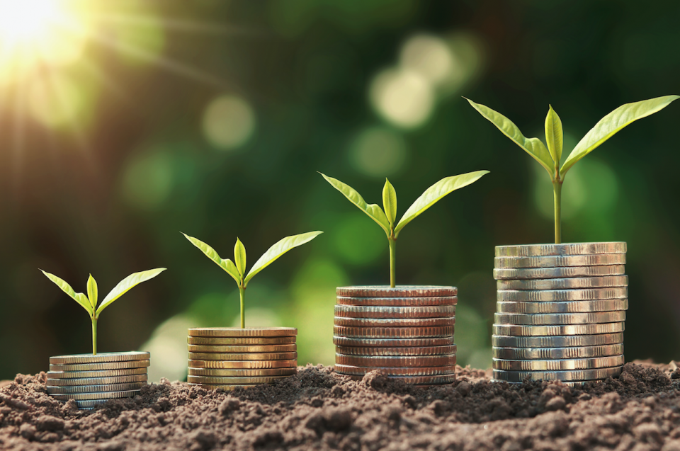 Coins sprouting plants