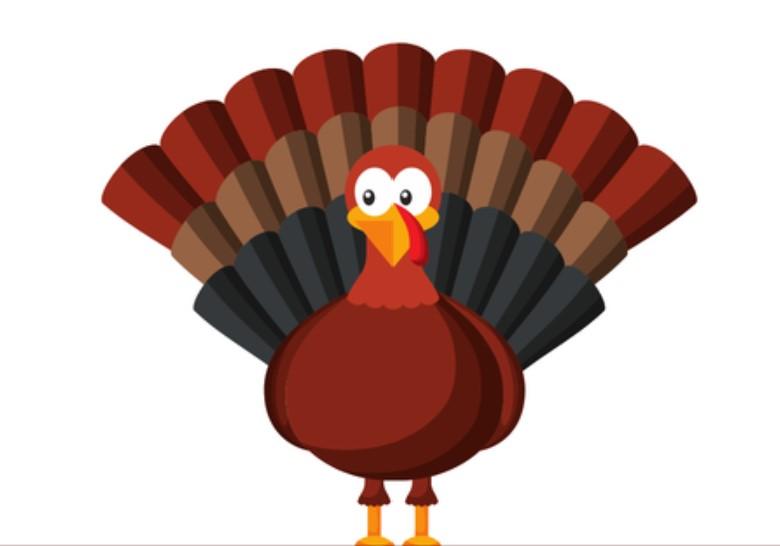 turkey