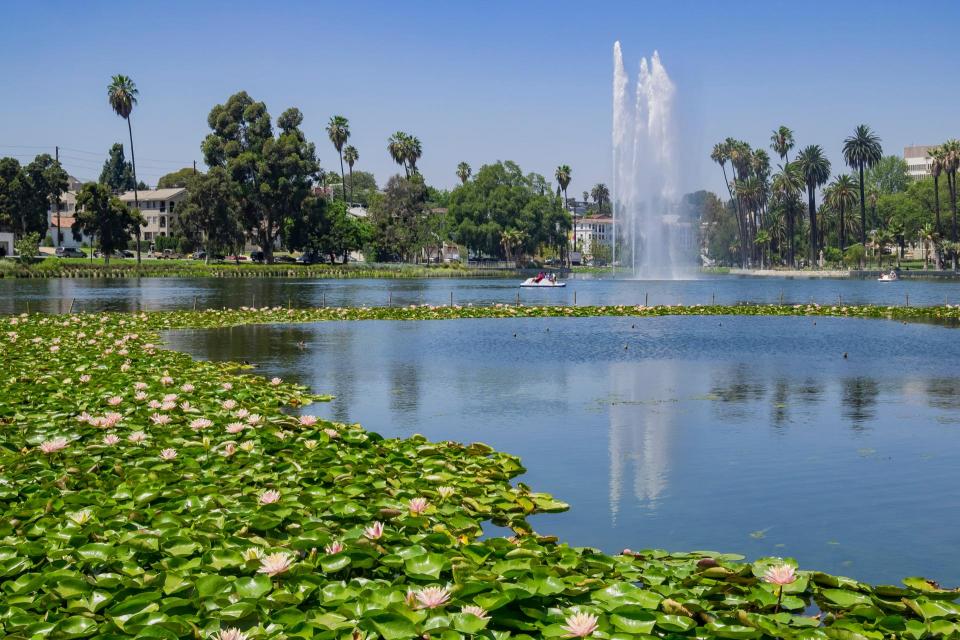 The beautiful Echo Park Lake