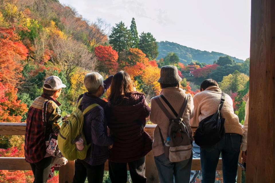 Tour group viewing an  autumn garden 