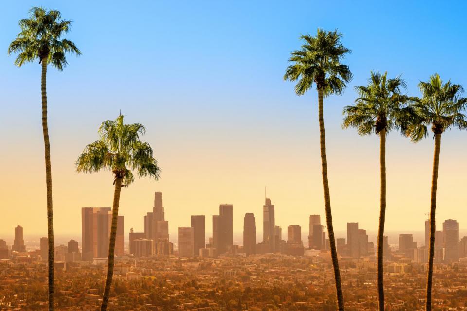the skyline of los angeles with palm trees