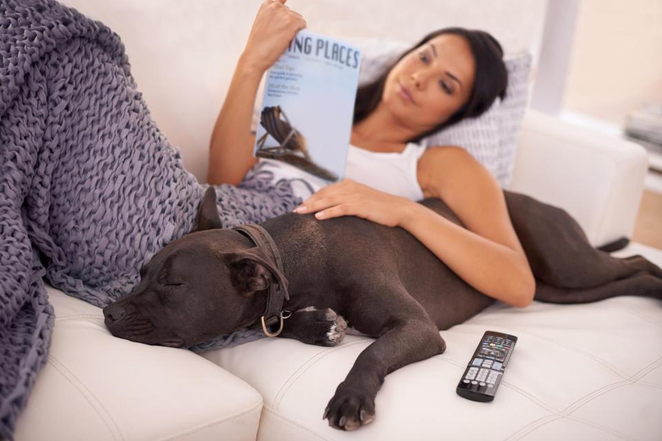 Lady laying on a couch with her dog reading a magazine.