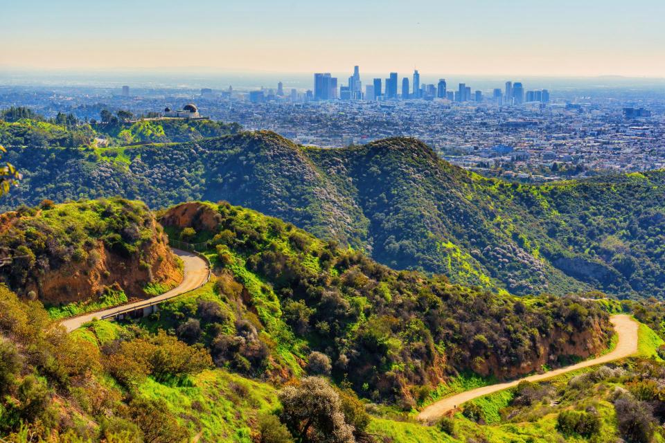 Griffith Park and LA Sklyine