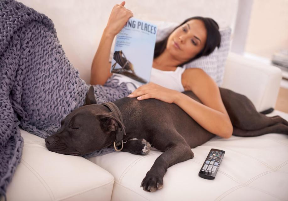 Lady laying on  a couch with her dog reading a magazine.