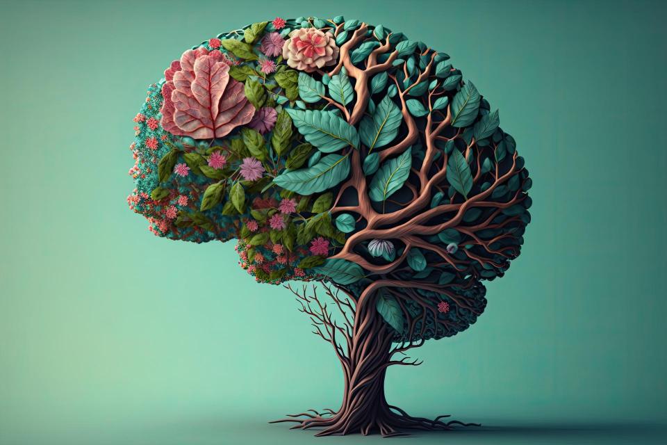 Image of a Braintree 