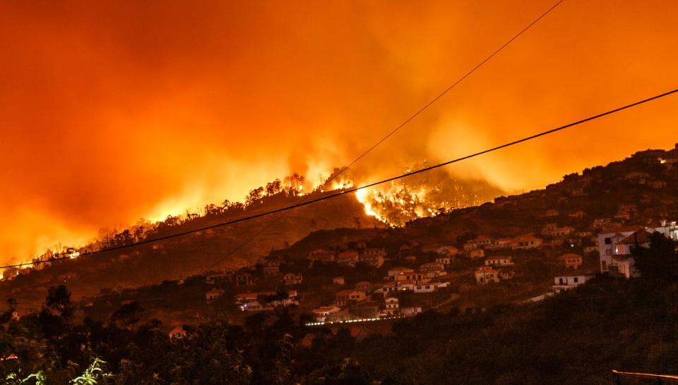 Wild Fire in Mountains